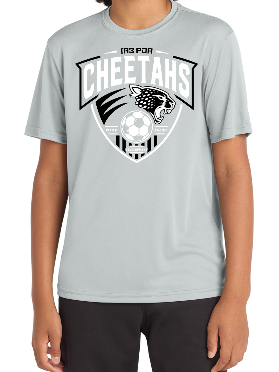 PDA Cheetahs YOUTH Dry Fit Tee Grey