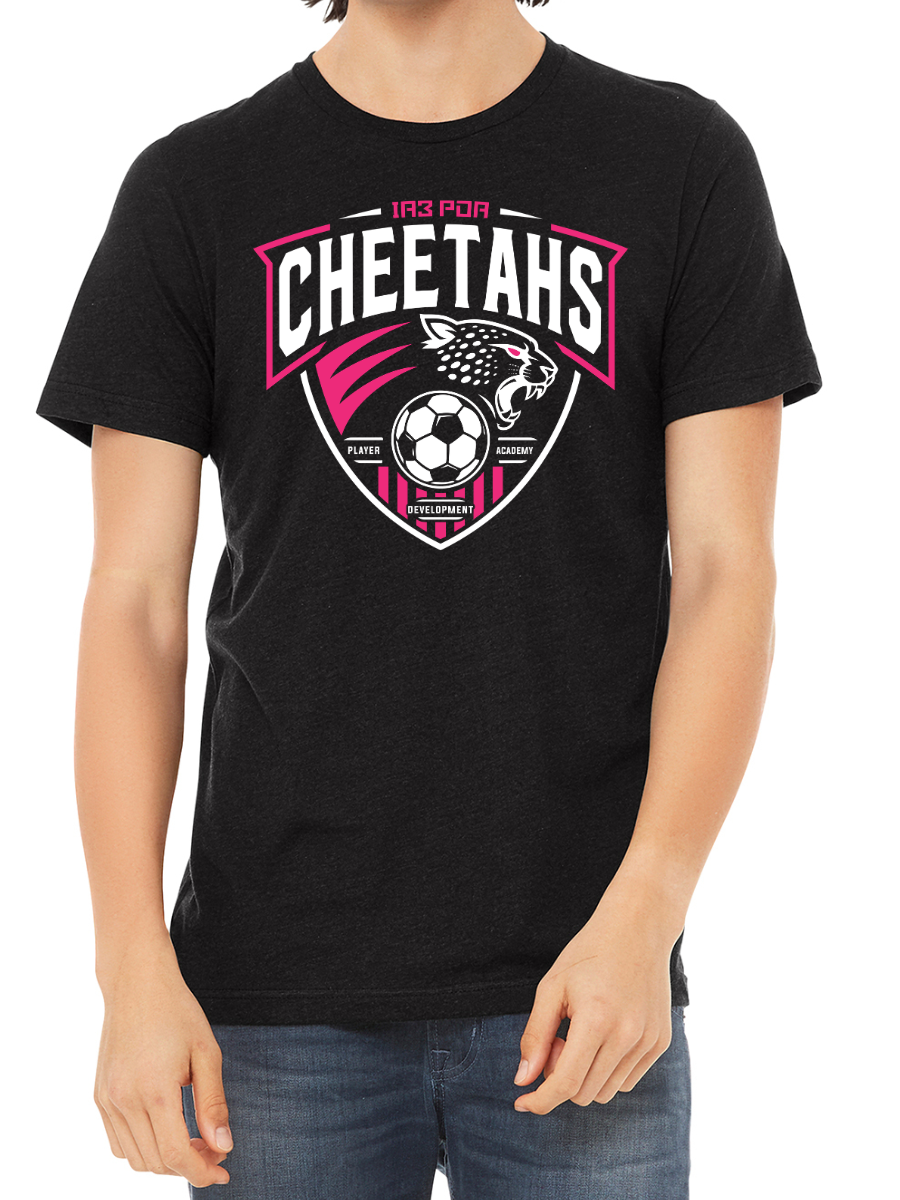 PDA Cheetahs Unisex ADULT Triblend Tee Vtg Black