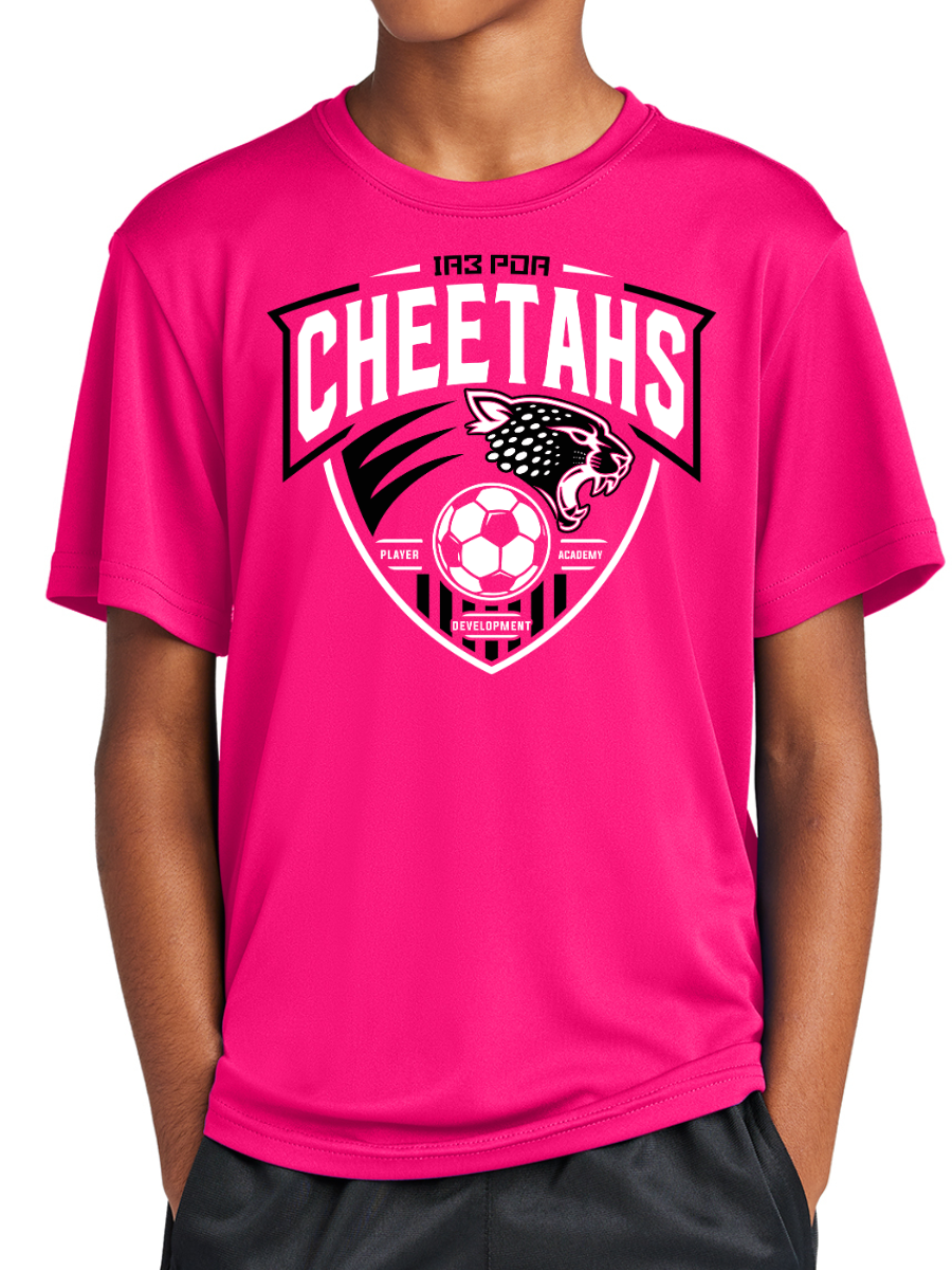 PDA Cheetahs YOUTH Dry Fit Tee Pink