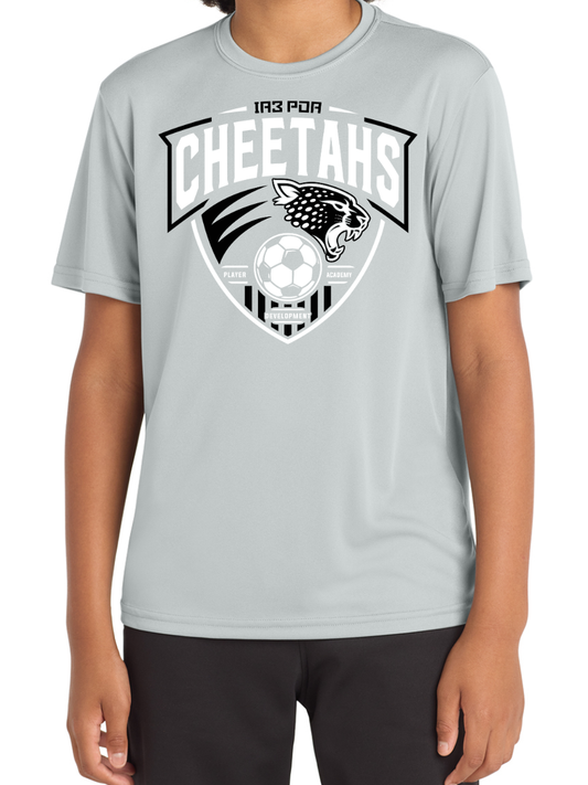 PDA Cheetahs YOUTH Dry Fit Tee Grey