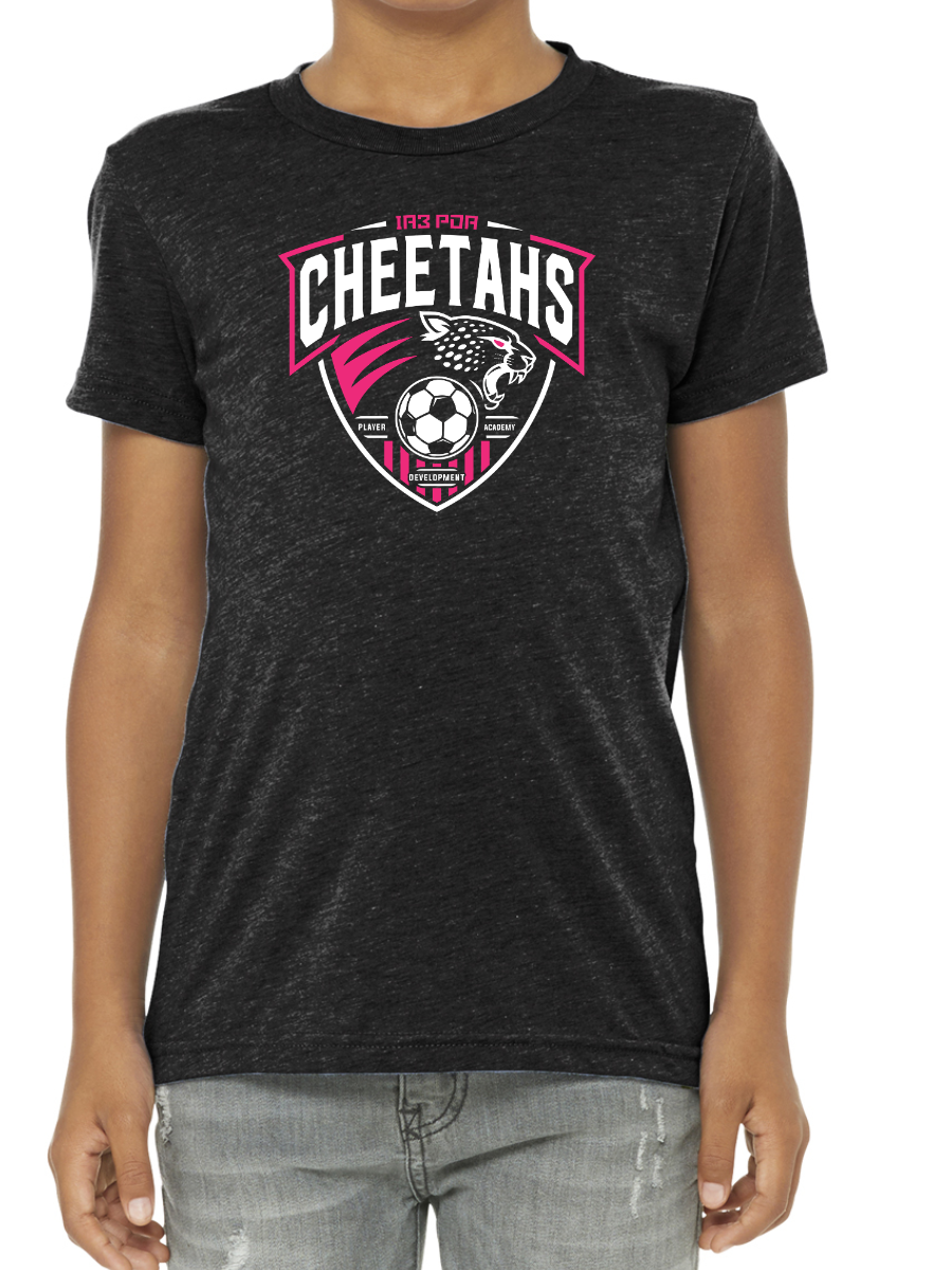 PDA Cheetahs TODDLER + YOUTH Triblend Tee Vtg Black