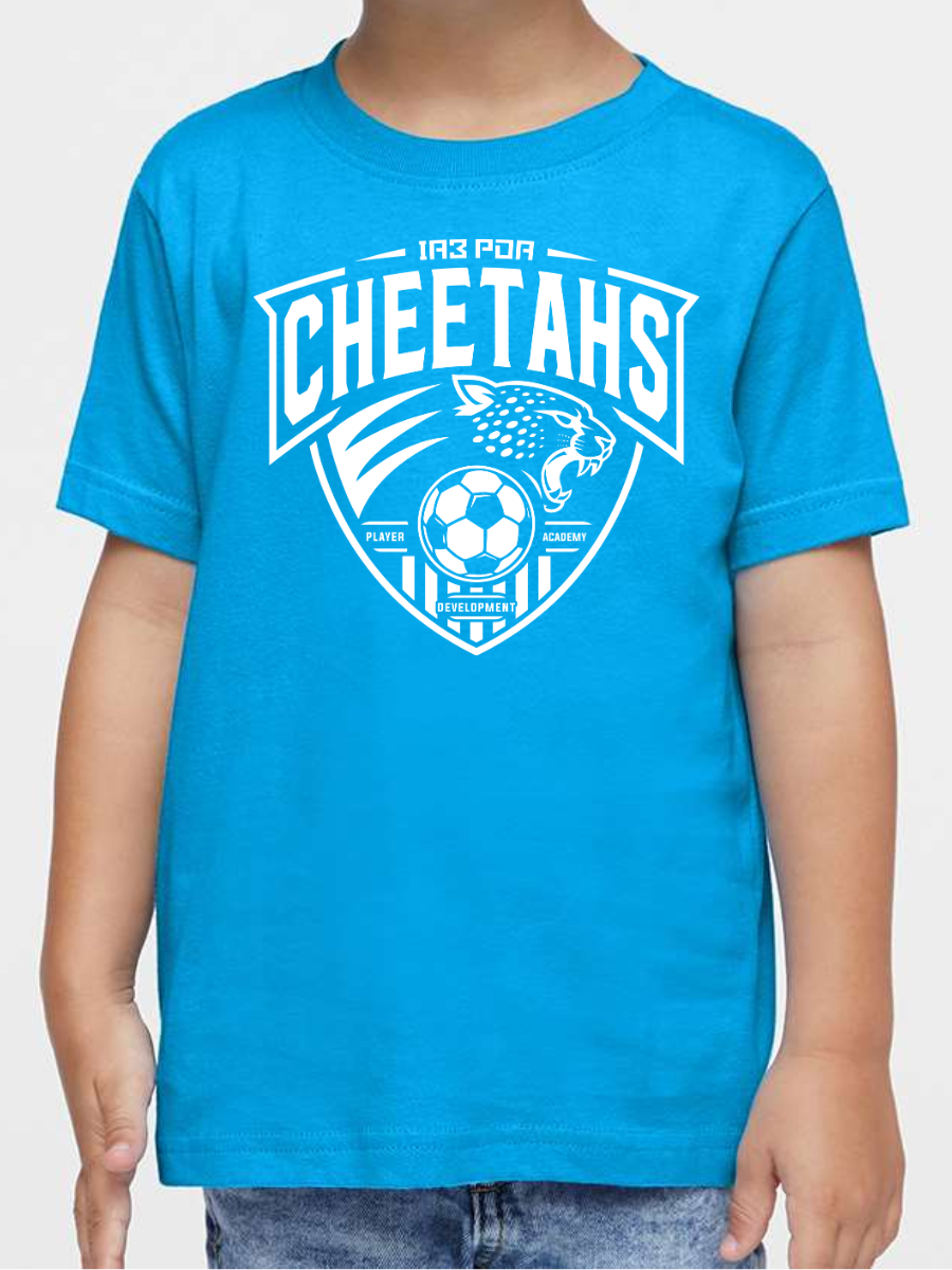 PDA Cheetahs TODDLER + YOUTH Triblend Tee Turquoise